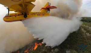 Un avion amphibie jette de l'eau sur l'incendie de l'île de Tenerife