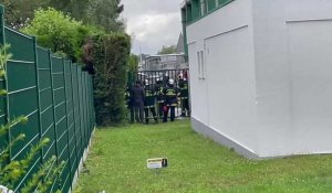 Steenvoorde : un jeune chevreuil capturé puis relâché dans la nature par les pompiers