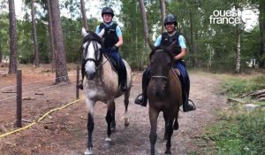 VIDÉO. En Sarthe, les gendarmes patrouillent à cheval pour lutter contre les feux de forêt