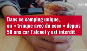 VIDÉO. Dans ce camping unique, on « trinque avec du coca » depuis 50 ans car l’alcool y est interdit