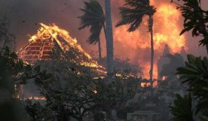 Incendies à Hawaï : au moins 36 morts (autorités locales)