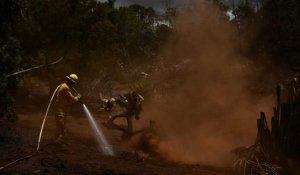 Incendies à Hawaï : le bilan continue d’augmenter, passant à 93 morts
