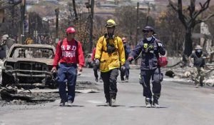 Incendies meurtriers à Hawaï : entre recherche des victimes et aide aux survivants