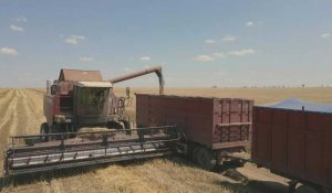 Ukraine: un agriculteur poursuit ses récoltes malgré les dégâts du barrage de Kakhovka