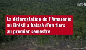 VIDÉO. La déforestation de l’Amazonie au Brésil a baissé d’un tiers au premier semestre
