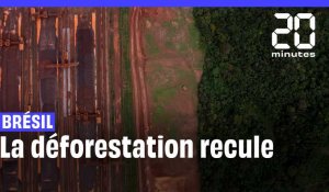  Amazonie : Entre janvier et juin 2023, la déforestation au Brésil à baissé de 34%