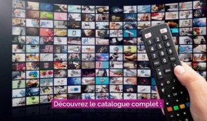 Les séries du mois d'août à regarder sur les plateformes de streaming