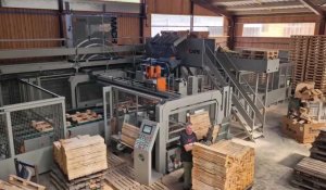 Pays de Bray : la Scierie du Cabalet a une nouvelle ligne de production de palettes