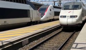 « Pas chère et pratique », la ligne de la Renfe Lyon-Barcelone séduit les voyageurs