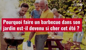 VIDÉO. Pourquoi faire un barbecue dans son jardin est-il devenu si cher cet été ?