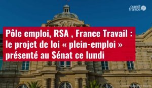 VIDÉO. Pôle emploi, RSA , France Travail : le projet de loi « plein-emploi » présenté au Sénat