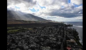 VIDÉO. Les pires incendies de l'histoire d'Hawaï font plus de 50 morts, un bilan qui devrait s'alourdir
