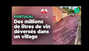 Au Portugal, un impressionnant torrent de vin rouge inonde un village au sud de Porto