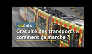 Montpellier : Tout ce qu'il faut savoir sur la gratuité totale des transports en commun