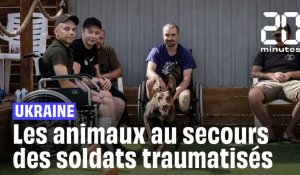 Ukraine : Les animaux au secours des soldats traumatisés par la guerre