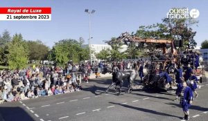 VIDEO. Le Xolo de Royal de Luxe  rejoint Bull machin 