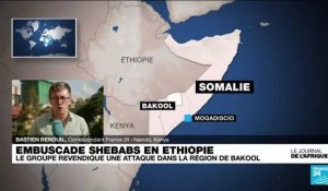Éthiopie : les shebab revendiquent une attaque sur l'armée éthiopienne dans la région de Bakool