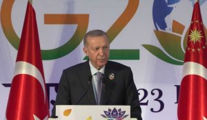 Accord céréalier: Erdogan appelle à ne pas "marginaliser" la Russie