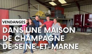 Le champagne se fabrique aussi en Île-de-France, à la frontière de l'Aisne