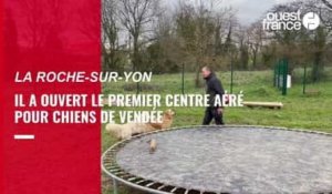 VIDÉO. Il lance le premier centre aéré pour chiens de Vendée