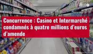 VIDÉO. Concurrence : Casino et Intermarché condamnés à quatre millions d’euros d’amende