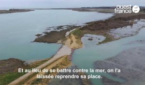 VIDÉO. Montée des eaux dans le Calvados : découvrez notre dossier sur le risque de submersion marine