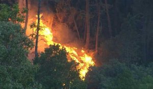Espagne: 700 personnes évacuées à cause d'un feu de forêt "hors de contrôle"