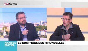 Journal de 8H45 : Yannick Morez en visite à Paris et puis le comptage des hirondelles