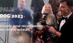 Une Palme du festival de Cannes decernée aux chiens acteurs 