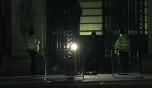 Des policiers devant Buckingham Palace après l'arrestation d'un homme