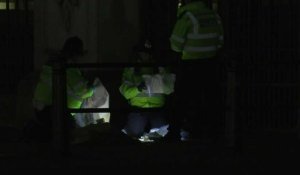 Des policiers examinent les lieux devant Buckingham après l'arrestation d'un homme