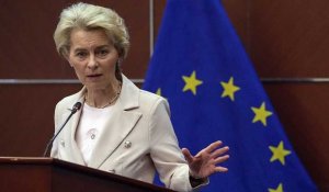 Plus de 200 ONG mettent en garde l’UE contre une éventuelle loi sur l'ingérence étrangère