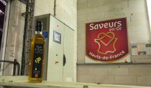 Comment est fabriquée l’huile de colza du Cambrésis, à Saint-Hilaire-lez-Cambrai
