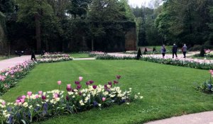 Saint-Omer: le jardin à la française a fait peau neuve