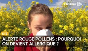 Pourquoi on devient allergique ?