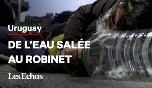 Pourquoi l’eau du robinet est salée en Uruguay