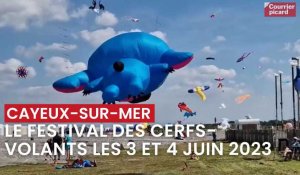 Festival de cerfs-volants à Cayeux-sur-Mer, sud de la Baie de Somme, les 3 et 4 juin 2023