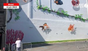 VIDÉO. Plongée dans les fonds marins avec une fresque murale monumentale, à Brest