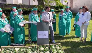 Saint-Omer : revivez la cérémonie de la confrérie du chou-fleur
