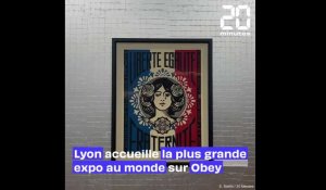 Lyon accueille la plus grande exposition au monde sur Obey
