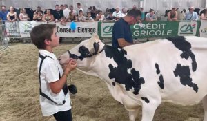 Foire agricole d'Hazebrouck : La meilleure génisse du concours Prim'Holstein 2023 est élue