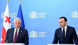 La Russie "sera ravie" si la Géorgie échoue à rejoindre l'UE, affirme Josep Borrell