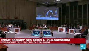 REPLAY : 15ème sommet des BRICS à Johannesburg, l'Afrique du Sud, le Brésil et la Russie s'expriment