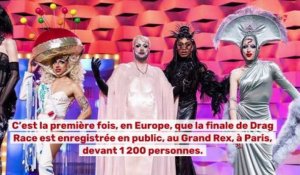 Drag Race France : Coup de coeur de Télé 7