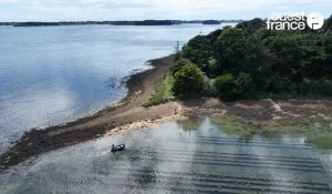 VIDÉO. La croisade d'un couple pour faire revivre son île, dans le Golfe du Morbihan