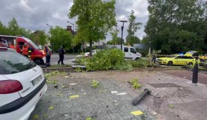 Hautmont : une automobiliste percute un arbre et un pylône dans le centre ville