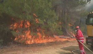 Grèce: les pompiers continuent de lutter contre l'incendie dans un parc national