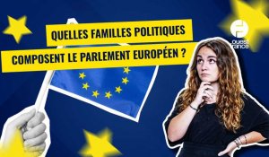 VIDÉO. Quelles familles politiques composent le Parlement européen ? 