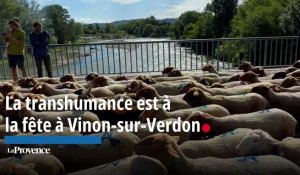 La transhumance est à la fête à Vinon-sur-Verdon 
