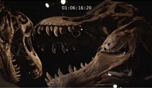 Avant Jurassic Park : l'apocalypse des dinosaures